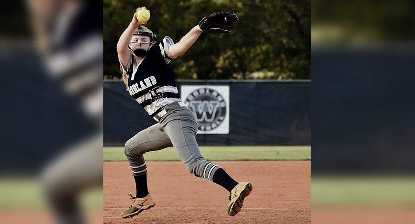 Read more about the article 2019 DTN All-County Softball Team