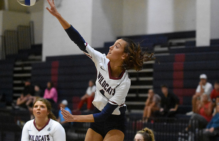 Read more about the article 2021 DTN All-County Volleyball Team
