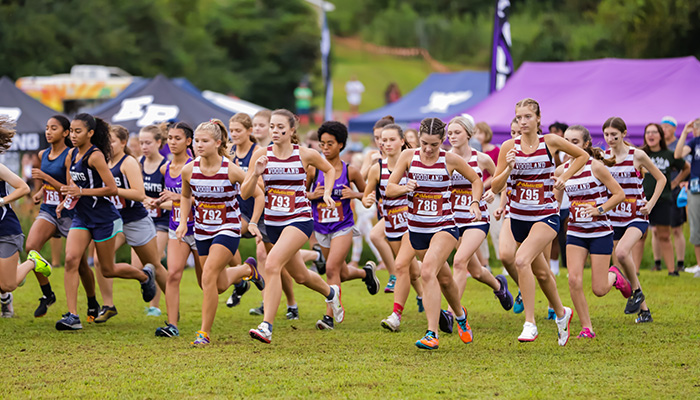 Read more about the article Woodland runners finish in top 10 in state